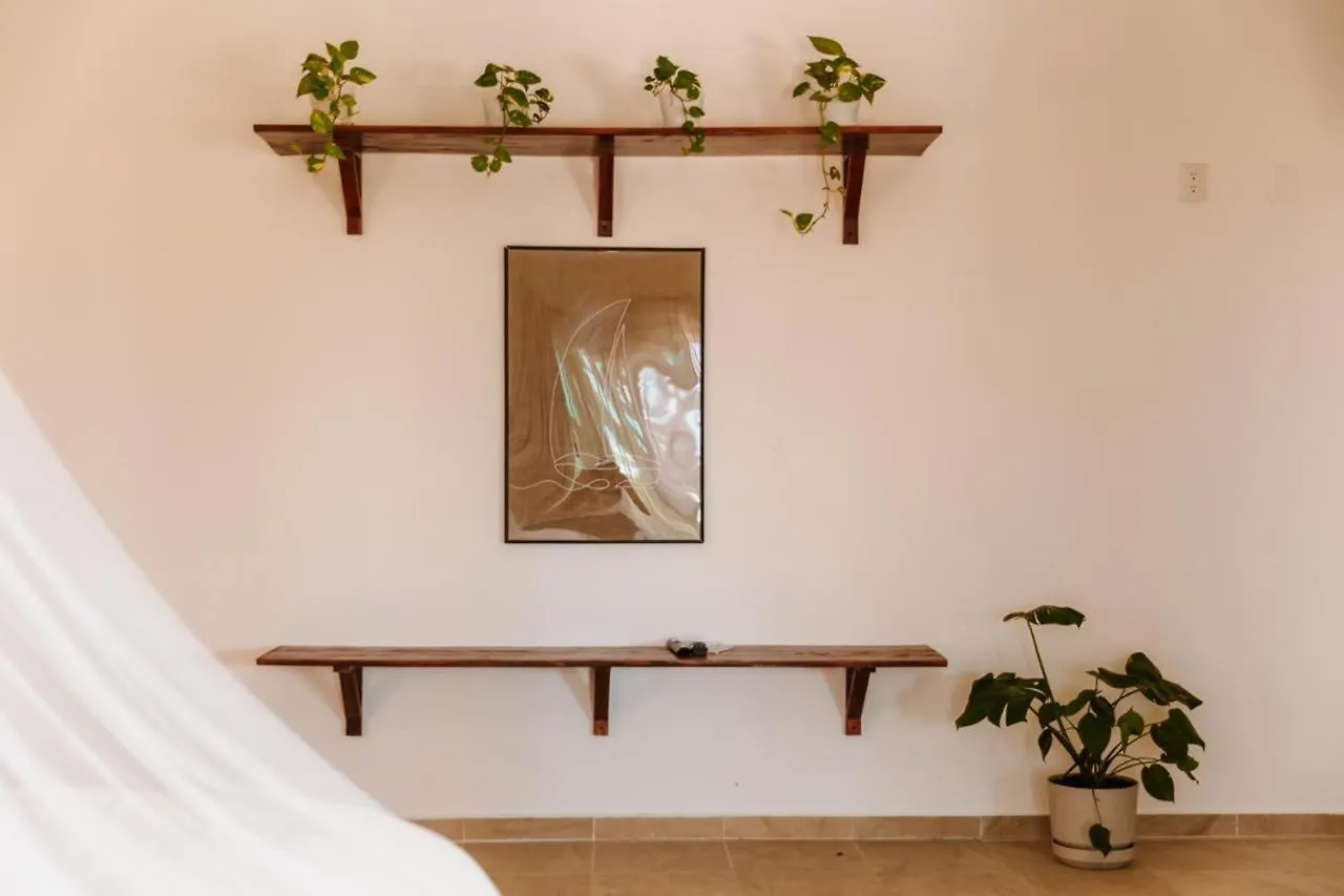 Guest house Casa Poeta Holbox Hotel Mexico